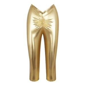 SKIMS Metallic Gold Swim Bottoms Pants Leggings Bikini Pants 4X